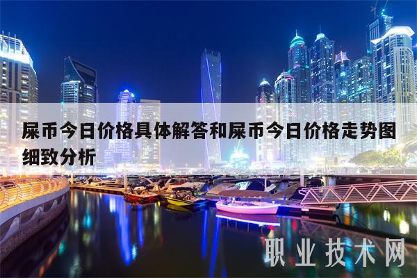 屎币今日价格具体解答和屎币今日价格走势图细致分析