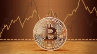 什么是萨摩耶币(SAMO)?SAMO币有什么特点?